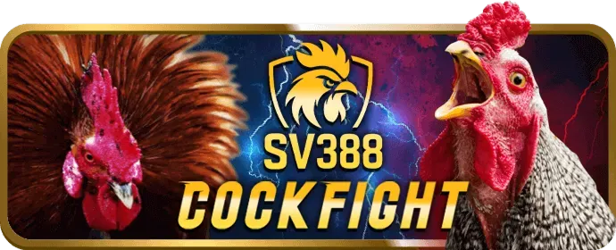 Tham gia cá cược và tích lũy điểm